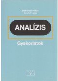 Denkinger Géza,Gyurkó Lajos - Analízis gyakorlatok