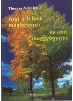 SCH|FER, THOMAS - Ami a lelket megbetegíti SCH|FER, THOMAS - Ami a lelket megbetegíti, Budapest 2018 antikvár könyv
