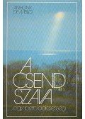 Anthony de Mello - A csend szava
