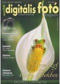 Dékán István - Digitális fotó 2011. január-február