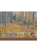 Nagy Csaba - Az erdő kincsei