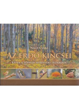 Nagy Csaba - Az erdő kincsei,  2011 antikvár könyv