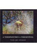 Szabó Attila - A természetben a teremtővel