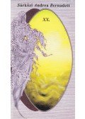 Sárközi Andrea Bernadett - XX. (dedikált)