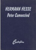 Hermann Hesse - Peter Camenzind