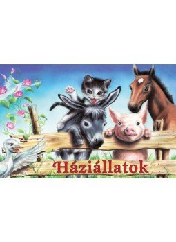 - Háziállatok - Háziállatok, null 2019 antikvár könyv