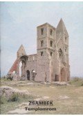 Dercsényi Balázs - Zsámbék - Templomrom