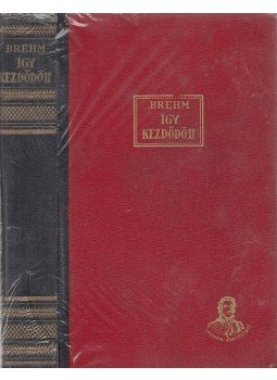 Brehm, Bruno - Igy kezdődött, Budapest 1938 antikvár könyv