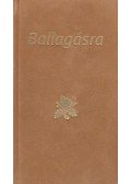 Borbíró Zsóka - Ballagásra