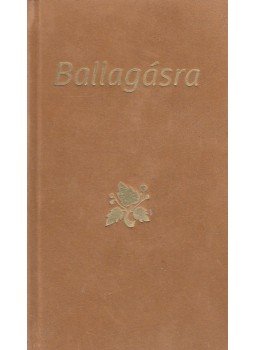 Borbíró Zsóka - Ballagásra Borbíró Zsóka - Ballagásra, Budapest 2000 antikvár könyv