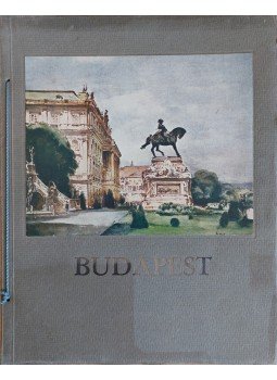Csánky Dénes - Budapest (1931), Budapest 1931 antikvár könyv