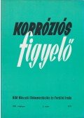 Bozsó Istvánné - Korróziós figyelő XVII. évfolyam 5.szám