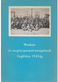 Kocsis Gyula - Munkás- és szegényparaszt-mozgalmak Cegléden 1945-ig