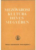 Petercsák Tivadar - Mezővárosi kultúra Heves megyében