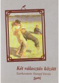 Stumpf István - Két választás között