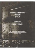 Fazekas Károly,Molnár György - Munkaerőpiaci tükör 2010