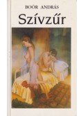 Boór András - Szívzűr