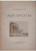 Dr. Kuzsinszky Bálint - Aquincum