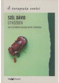 Szél Dávid - Útközben - Egy életközepi válság Skype-terápiája - A terapeuta esetei