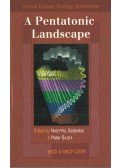 Nagypál Szabolcs,Peter Sajda - A Pentatonic Landscape