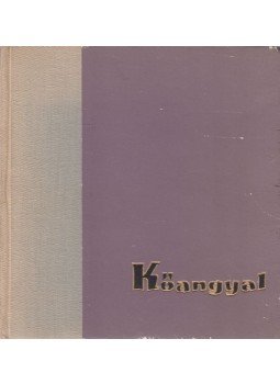 Takács Imre - Kőangyal (dedikált) Takács Imre - Kőangyal (dedikált), Budapest 1959 antikvár könyv