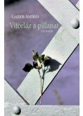 Gajdos András - Vitorláz a pillanat