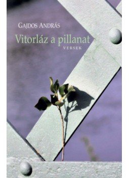Gajdos András - Vitorláz a pillanat Gajdos András - Vitorláz a pillanat, null 2019 antikvár könyv