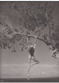 Patrick Demarchelier - Patrick Demarchelier Photographs