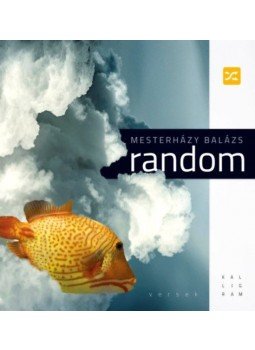 Mesterházy Balázs - Random Mesterházy Balázs - Random, Budapest 2019 antikvár könyv