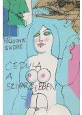 Vázsonyi Endre - Cédula a szivarzsebben