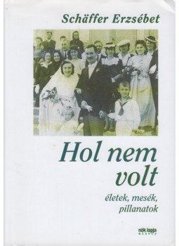 Schäffer Erzsébet - Hol nem volt Schäffer Erzsébet - Hol nem volt, Budapest 2013 antikvár könyv
