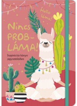  - Nincs probláma! - Inspirációs könyv jegyzeteléshez, null 2019 antikvár könyv