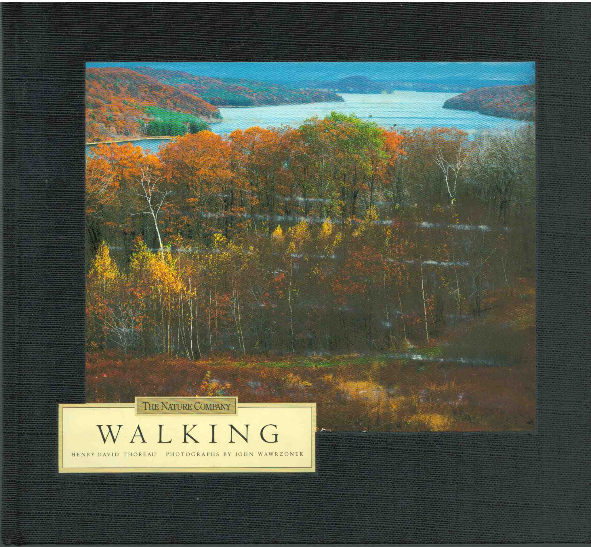 Thoreau, Henry David - Walking Thoreau, Henry David - Walking, 1993 antikvár könyv