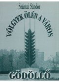 Szántai Sándor - Völgyek ölén a város (Dedikált)