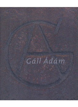 Wehner Tibor - Gáll Ádám festőművész (dedikált) Wehner Tibor - Gáll Ádám festőművész (dedikált), Budapest 2006 antikvár könyv