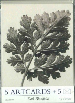  - Karl Blossfeldt: 5 Artcards with envelopes,  1998 antikvár könyv