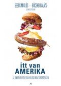 Sebők Miklós, Böcskei Balázs - Itt van Amerika - Az amerikai politika hatása Magyarországon