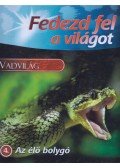 Jennifer Taylor - Fedezd fel a világot - Az élő bolygó