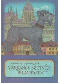 Csukás István,Gaál Éva - Vakkancs szétnéz Budapesten