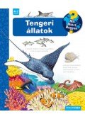 Andrea Erne - Tengeri állatok - Mit? Miért? Hogyan?