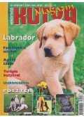 Gácsi Márta - Nemzetközi Kutya Magazin VII. évfolyam 7.szám