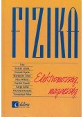 Varga Antal,Gulyás János,Rácz Mihály,Honyek Gyula,Markovits Tibor,Szalóki Dezső - Fizika - Elektromosság, mágnesség