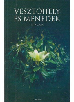 Kárpáti Emil (szerk.) - Vesztőhely és menedék Kárpáti Emil (szerk.) - Vesztőhely és menedék, Nyíregyháza 2002 antikvár könyv