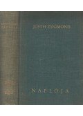 Justh Zsigmond - Justh Zsigmond naplója