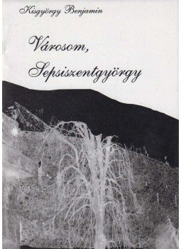 Kisgyörgy Benjámin, Kisgyörgy Zoltán - Városom, Sepsiszentgyörgy Kisgyörgy Benjámin, Kisgyörgy Zoltán - Városom, Sepsiszentgyörgy, Sepsiszentgyörgy 2004 antikvár könyv
