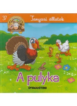 Feryal Kanbay, Stephan Gürtler - A pulyka Feryal Kanbay, Stephan Gürtler - A pulyka, null 2014 antikvár könyv