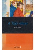Peter Viney - A Tidy Ghost