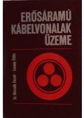 Dr. Börcsök Dezső,Luspay Ödön - Erősáramú kábelvonalak üzeme