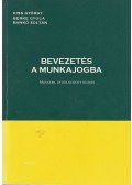Kiss György,Berke Gyula,Bankó Zoltán - Bevezetés a munkajogba
