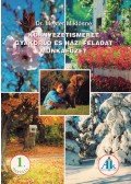 Dr. Mester Miklósné - Környezetismeret gyakorló és házi feladat munkafüzet 1. osztály